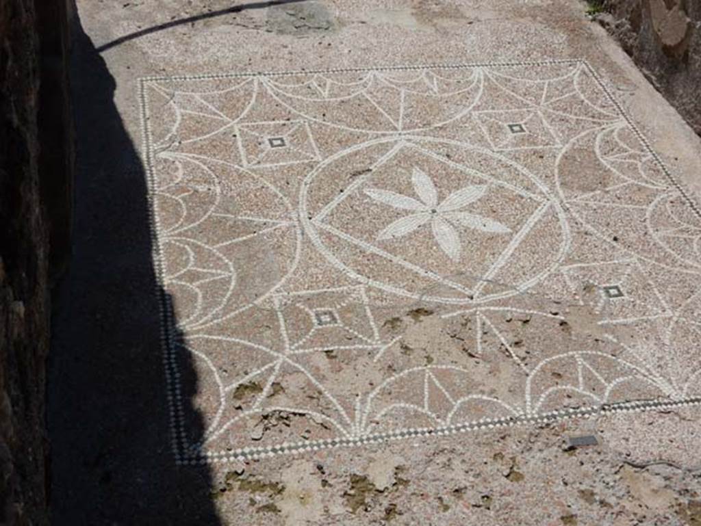 VIII.2.13 Pompeii. May 2018. Mosaic in entrance corridor, looking west. Photo courtesy of Buzz Ferebee.