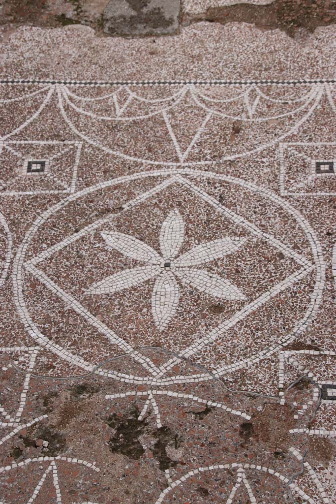 VIII.2.13 Pompeii. October 2020. Detail from centre of mosaic in entrance corridor.
Photo courtesy of Klaus Heese.