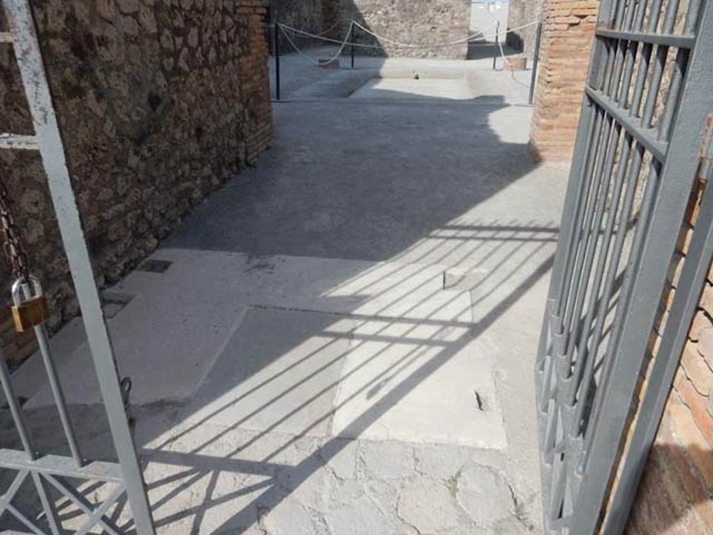 VIII.2.14 Pompeii. May 2017. Flooring of entrance vestibule, looking west. Photo courtesy of Buzz Ferebee.