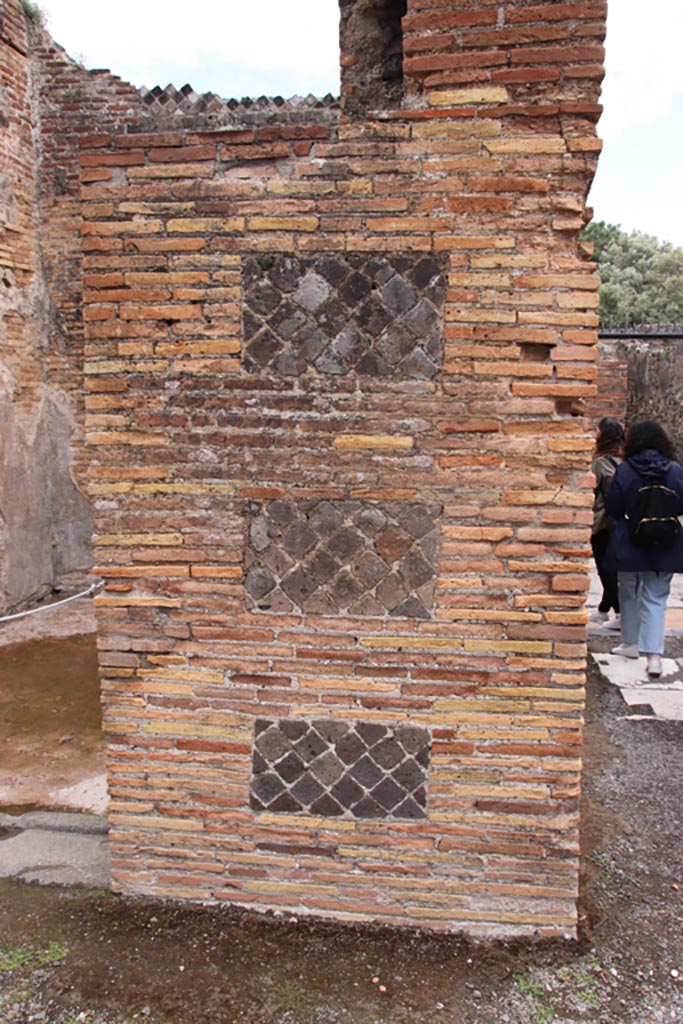 VIII.2.14 Pompeii. May 2024. 
Looking towards east side of atrium, detail of wall on north side of entrance corridor. 
Photo courtesy of Klaus Heese.