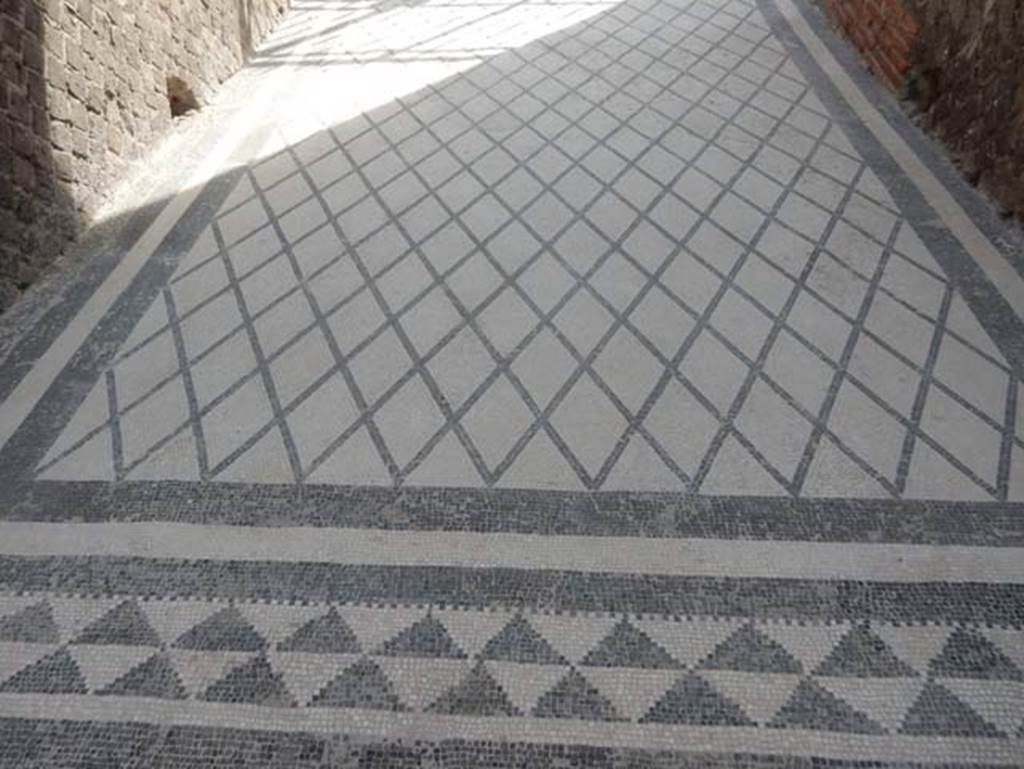 VIII.2.16 Pompeii. May 2017. Detail of mosaic flooring in entrance corridor.  
Photo courtesy of Buzz Ferebee.