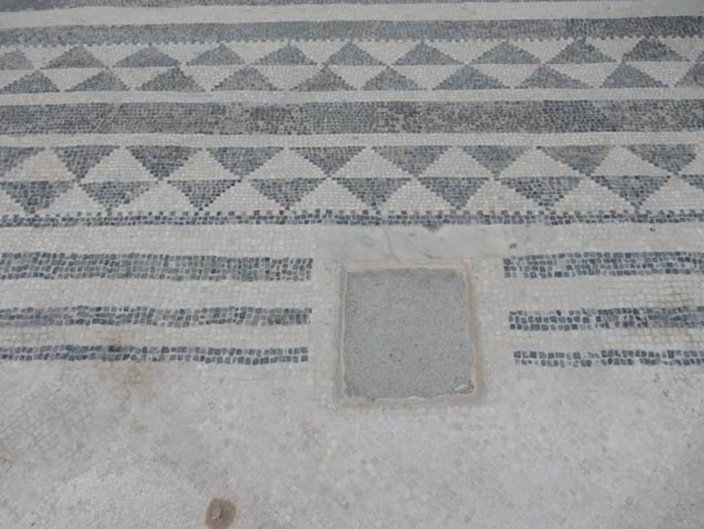 VIII.2.16 Pompeii. May 2017. Detail of entrance corridor flooring at west end, near atrium.  Photo courtesy of Buzz Ferebee.