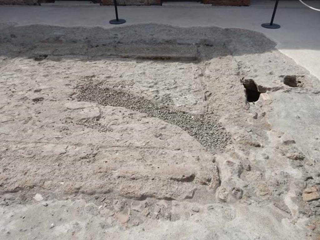 VIII.2.16 Pompeii. May 2017. Looking south across west end of site of impluvium. Photo courtesy of Buzz Ferebee.