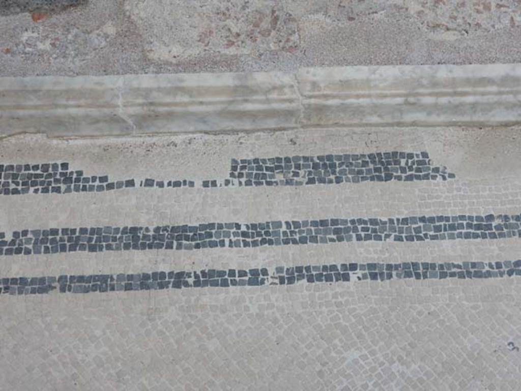 VIII.2.16 Pompeii. May 2017. Atrium flooring and edging.  Photo courtesy of Buzz Ferebee.