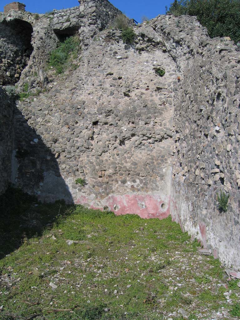 VIII.2.16 Pompeii. March 2004. Room 223, (or Room 10), looking north-east. 
On the west side of this room was the vaulted corridor 201, top left
According to BdI, above – 
“The zoccolo/dado/plinth in this room would have been red, above this would only have been rough plaster”.
Photo courtesy of Sandra Zanella.