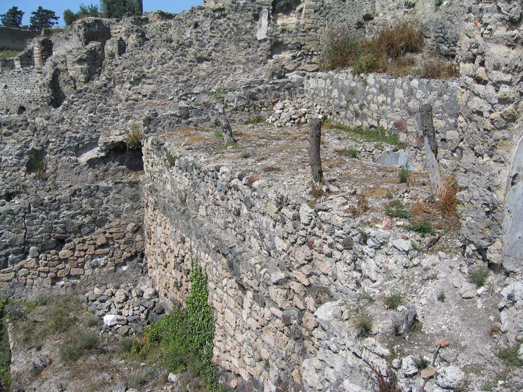 VIII.2.16 Pompeii. April 2004. Looking north-west from area of room 220 (collapsed), across area 213 with pool.
Corridor 212 is in the centre on the left. Photo courtesy of Sandra Zanella.