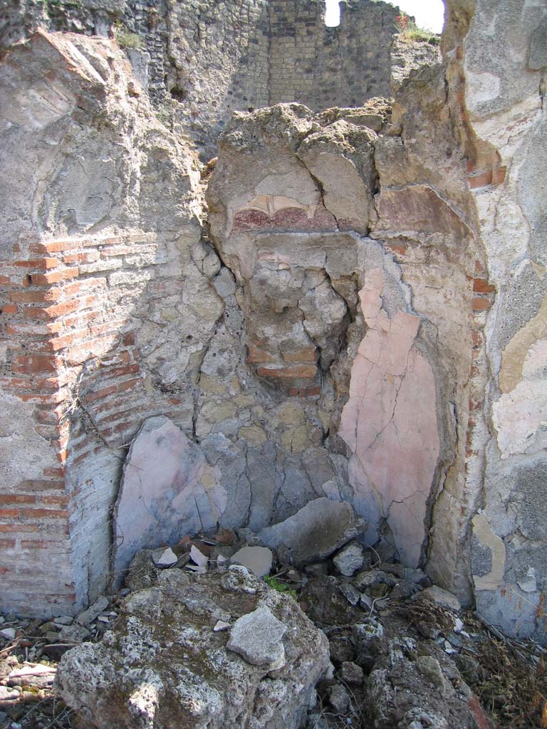 VIII.2.16 Pompeii. April 2004. 
Niche 214, the vault of the semi-circular niche built into the east wall of area 213, would have been painted white. 
Photo courtesy of Sandra Zanella.