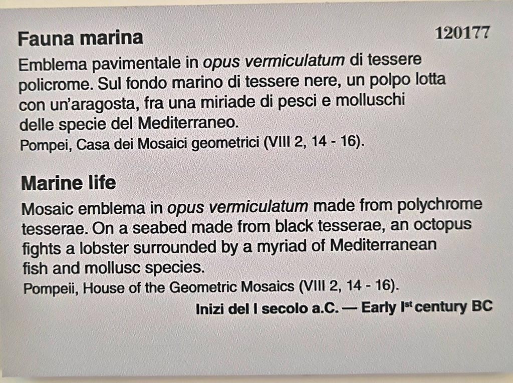 VIII.2.16 Pompeii. Information card from Naples Archaeological Museum. Photo courtesy of Giuseppe Ciaramella. September 2024