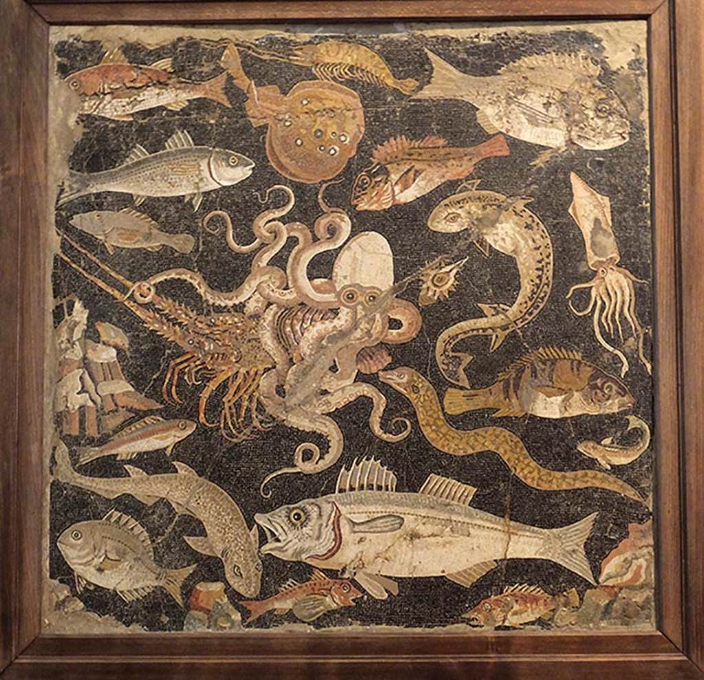 VIII.2.16 Pompeii. 
Mosaic of Sea scene with octopus fighting a lobster, surrounded by other fish and molluscs, found in August 1890, in the shallow basin in the triclinium near the north portico. Now in Naples Archaeological Museum, Inventory number 120177.