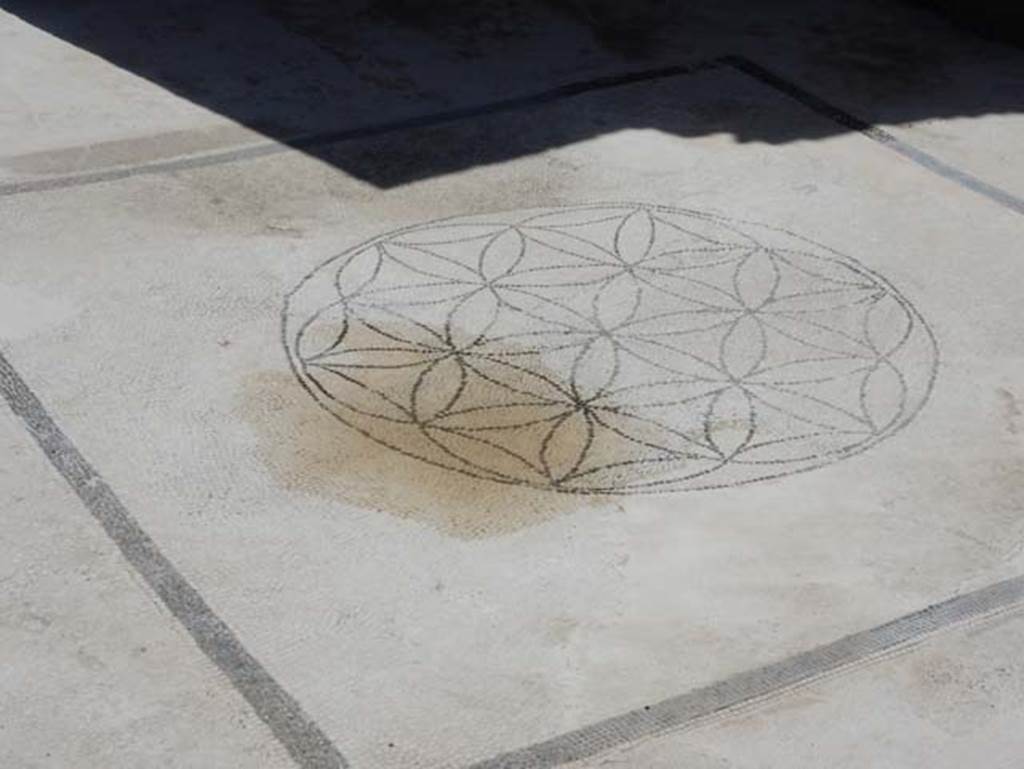 VIII.2.16 Pompeii. May 2018. Central motif in the flooring of the triclinium.
Photo courtesy of Buzz Ferebee.