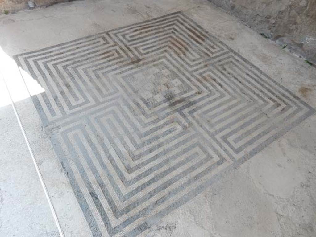 VIII.2.16 Pompeii. May 2018. Detail of mosaic flooring in north ala. Photo courtesy of Buzz Ferebee.