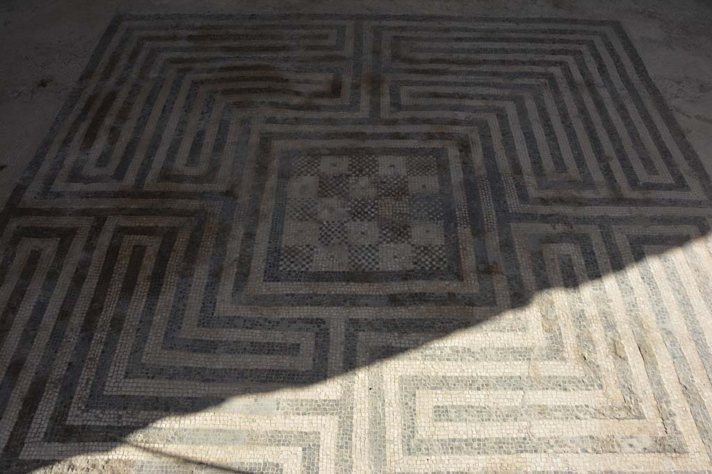 VIII.2.16 Pompeii. September 2019. Detail of flooring in north ala.
Foto Annette Haug, ERC Grant 681269 DÉCOR.