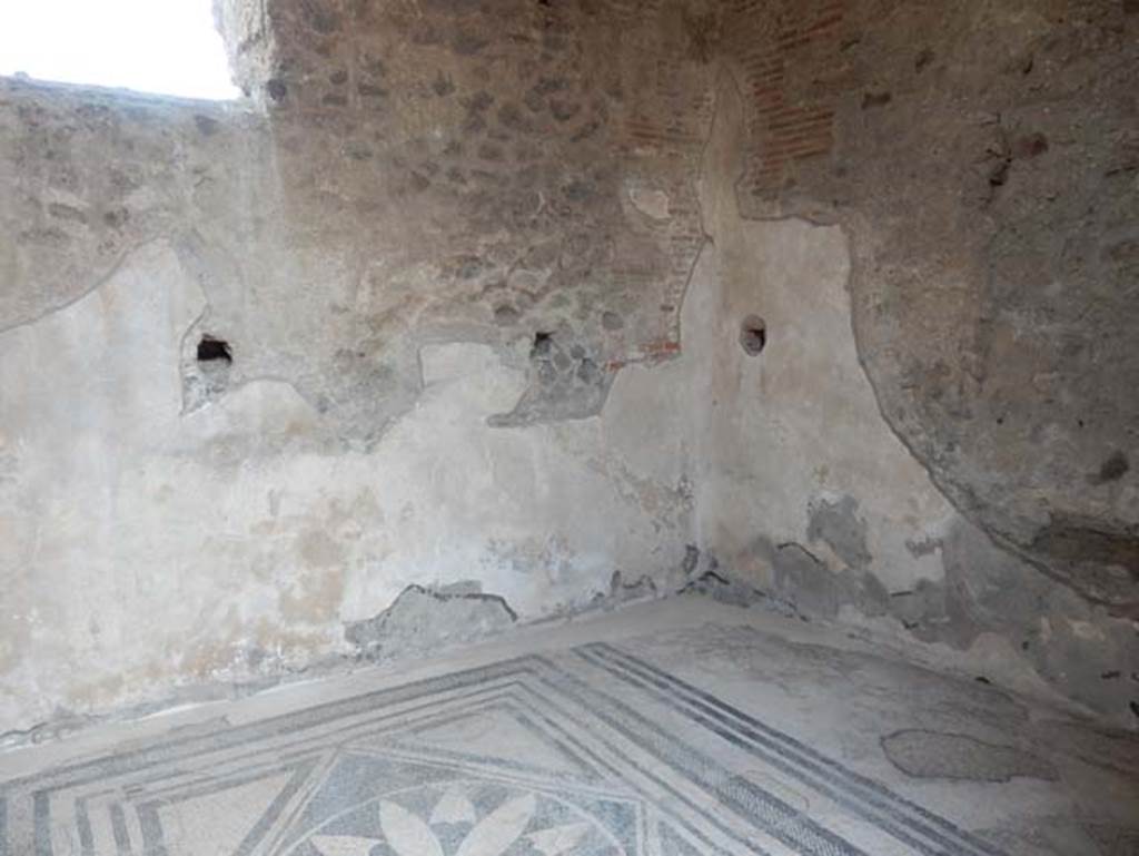 VII.2.16 Pompeii. May 2017. Looking towards north-east corner of cubiculum.   Photo courtesy of Buzz Ferebee.