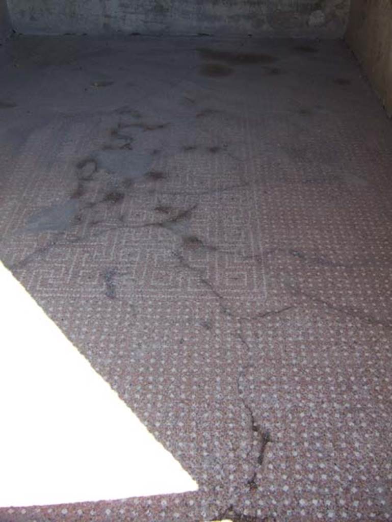 VIII.2.16 Pompeii. September 2005. 
Cubiculum on north side of entrance corridor, with decorated floor of cocciopesto with regular lines of large white tesserae. 
In the centre of the floor, the smaller tesserae make a decoration of a net of meanders and squares.