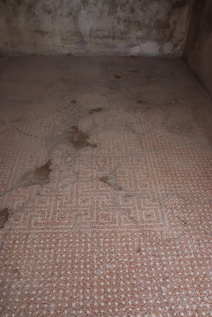 VIII.2.16 Pompeii. May 2024. 
Detail of flooring, with net of meanders and squares in centre of floor. Photo courtesy of Klaus Heese.