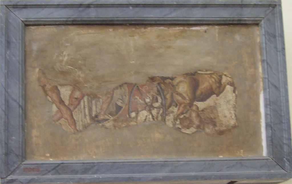VIII.2.16 Pompeii. 
Remains of mosaic of the Rape of the Leucippides (the daughters of Leucippus), on a slab of tufa, found in September 1890.
Now in Naples Archaeological Museum. Inventory number 120619.
Found in a room at the rear of VII.2.14, according to Rom. Mitt, vii, 1892, p.12. 
This room was at the rear of the triclinium with the shallow basin.
It would have been in the south-east corner of the northern peristyle, also accessed from a corridor in VIII.2.14.