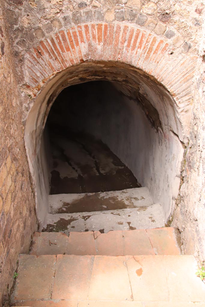VIII.2.17 Pompeii. May 2024. 
Steps down to tunnel leading below to Sarno Baths. Photo courtesy of Klaus Heese.