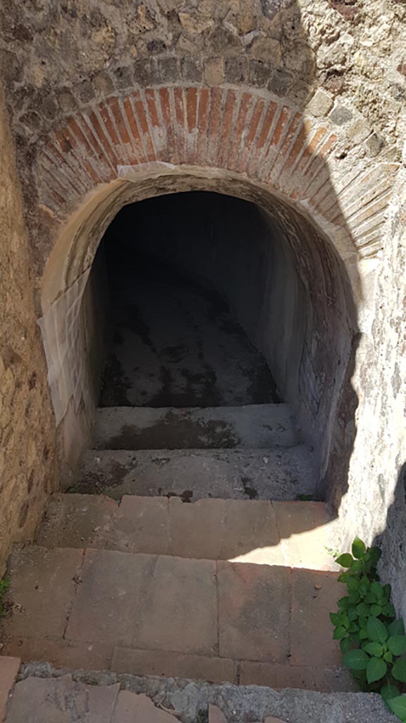 VIII.2.17 Pompeii. August 2023. 
Steps down to tunnel leading below to Sarno Baths. Photo courtesy of Maribel Velasco.