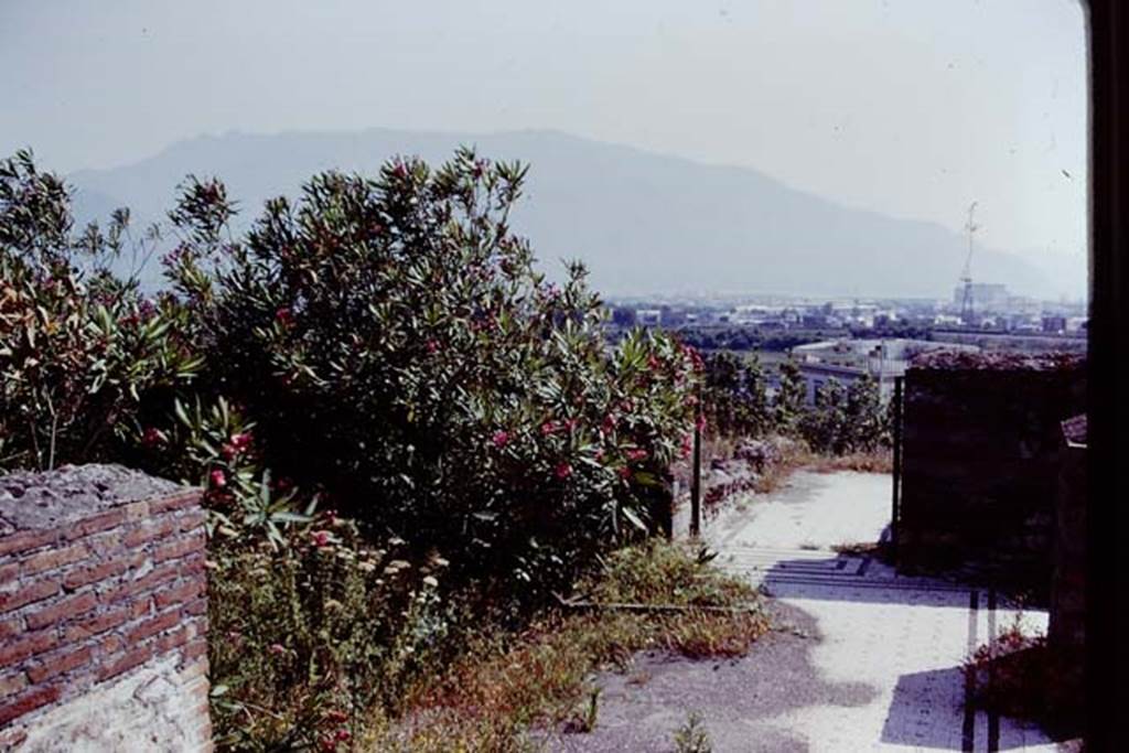 VIII.2.20 Pompeii. 1978. Looking south-west along the west side of the small peristyle area. The flooring in this area was of white mosaic with rows of black crosses and bordered by two lines of black tesserae. This passageway led to a corridor separated by a black and white mosaic threshold decorated with rectangles. Photo by Stanley A. Jashemski.   
Source: The Wilhelmina and Stanley A. Jashemski archive in the University of Maryland Library, Special Collections (See collection page) and made available under the Creative Commons Attribution-Non Commercial License v.4. See Licence and use details. J78f0231