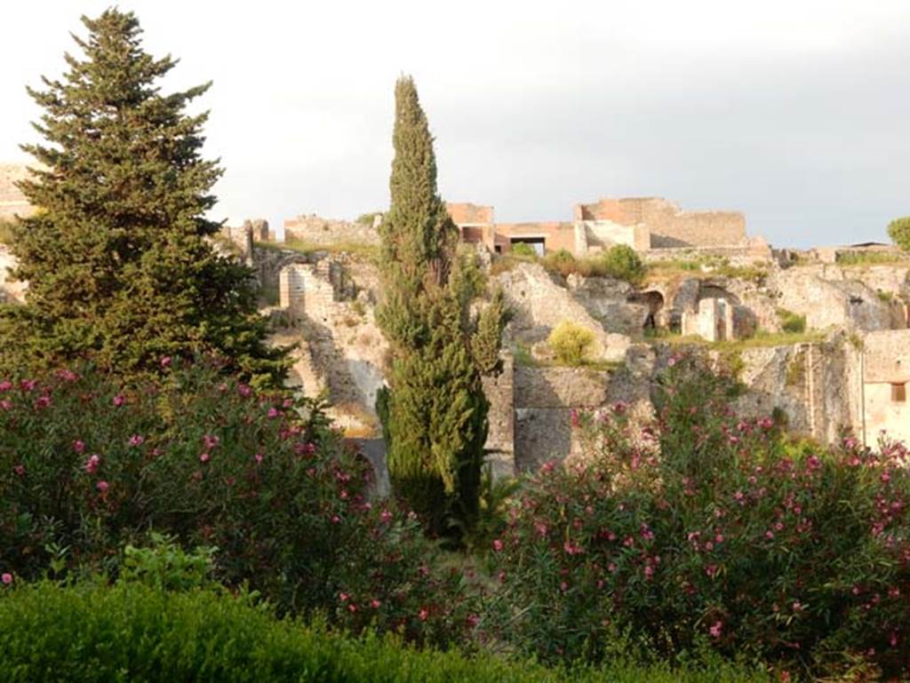 VIII.2.20 Pompeii, May 2018. Sarno Baths complex, on right, and lower areas of VIII.2.16, from the rear.  Photo courtesy of Buzz Ferebee.