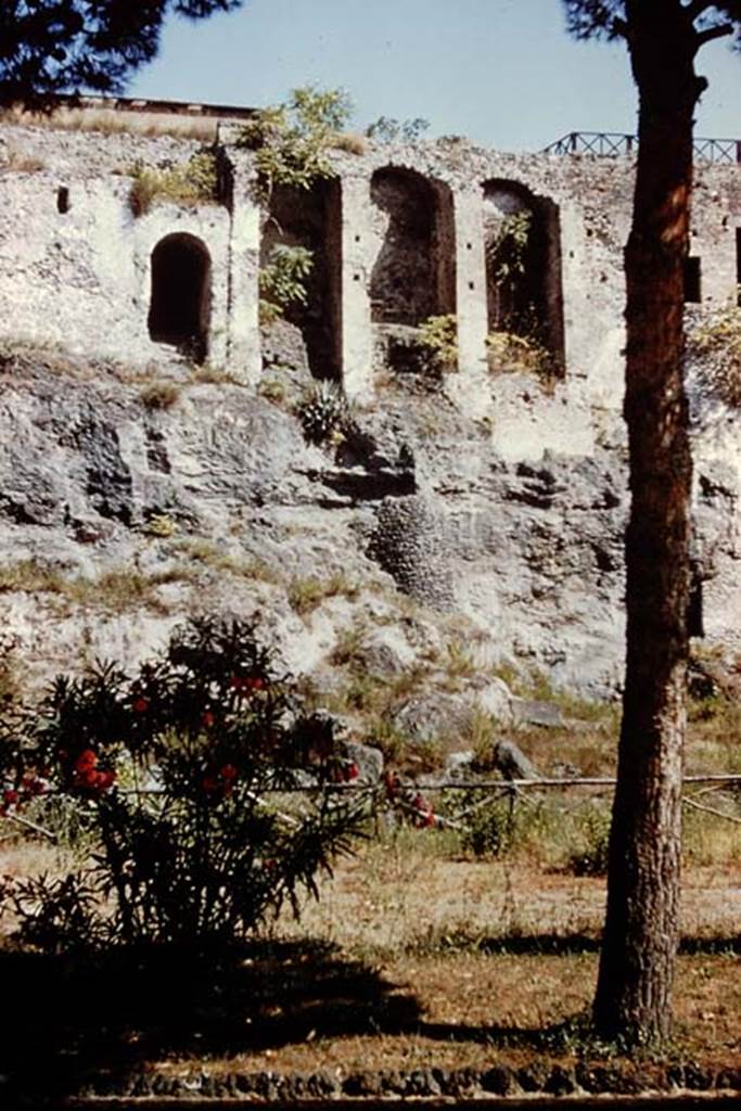 VIII.2.23 Pompeii, taken from the rear, 1959. Photo by Stanley A. Jashemski.
Source: The Wilhelmina and Stanley A. Jashemski archive in the University of Maryland Library, Special Collections (See collection page) and made available under the Creative Commons Attribution-Non Commercial License v.4. See Licence and use details.
J59f0406