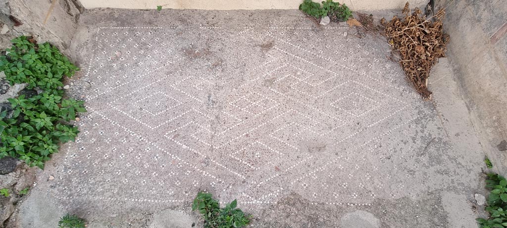 VIII.2.26 Pompeii. December 2023. 
Vestibule ‘a’, looking south across flooring towards vestibule ‘b’. Photo courtesy of Miriam Colomer.