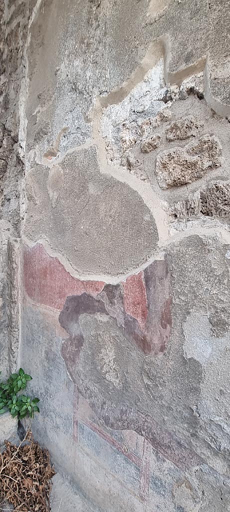 VIII.2.26 Pompeii. December 2023. 
Painted wall decoration from west wall of entrance vestibule ‘a’.
Photo courtesy of Miriam Colomer.