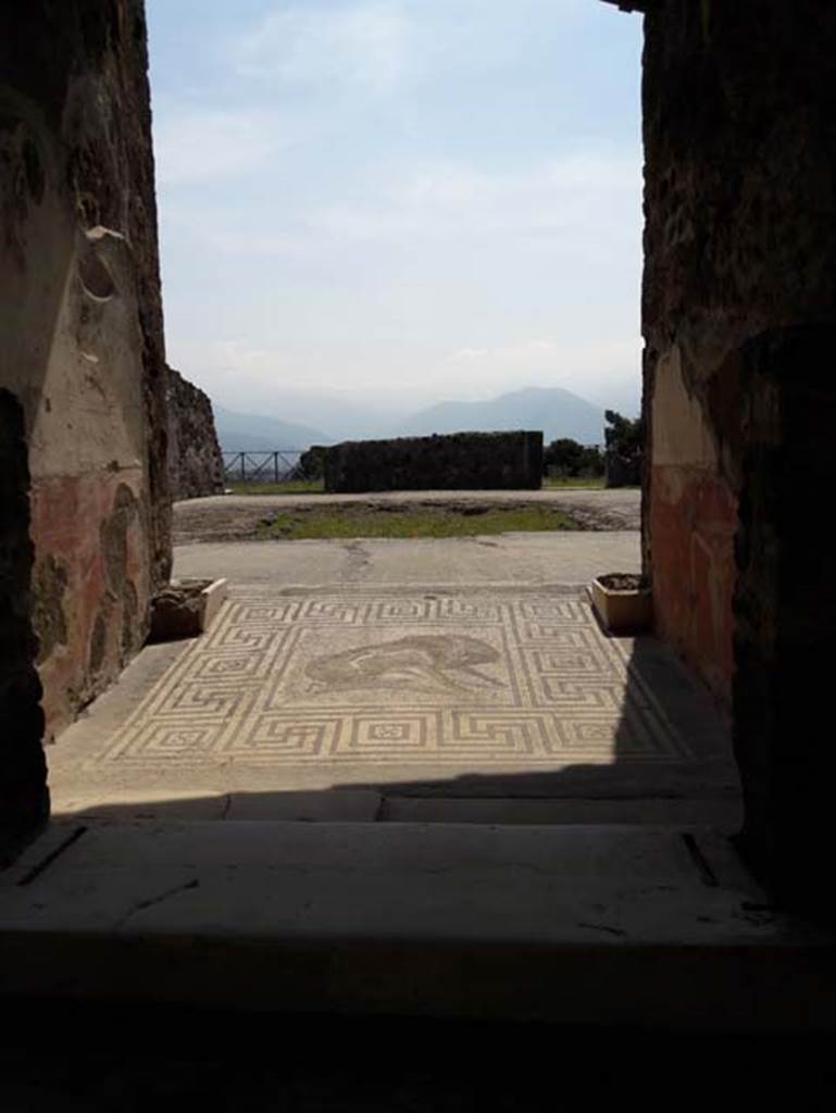 VIII.2.26 Pompeii. April 2017. Looking south from entrance corridor into vestibule, ‘b’ with boar mosaic.
Photo courtesy of Dr Paul J. Turner.