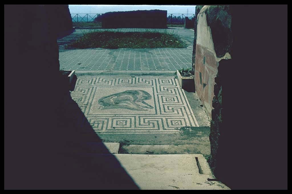 VIII.2.26 Pompeii. 
Looking south from entrance across mosaic and towards atrium floor of a black mosaic with dots of large white tesserae surrounded by a white striped border.
Photographed 1970-79 by Günther Einhorn, picture courtesy of his son Ralf Einhorn.
