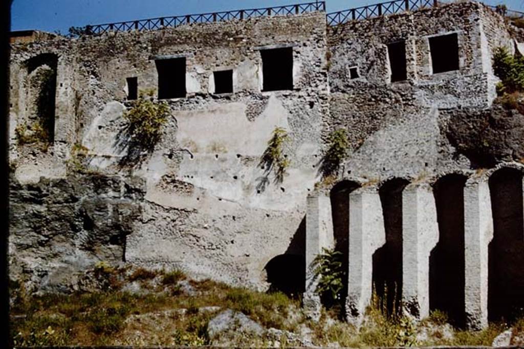 VIII.2.26 and VIII.2.28 Pompeii. 1959. Looking north from the rear. Photo by Stanley A. Jashemski.
Source: The Wilhelmina and Stanley A. Jashemski archive in the University of Maryland Library, Special Collections (See collection page) and made available under the Creative Commons Attribution-Non Commercial License v.4. See Licence and use details.
J59f0408