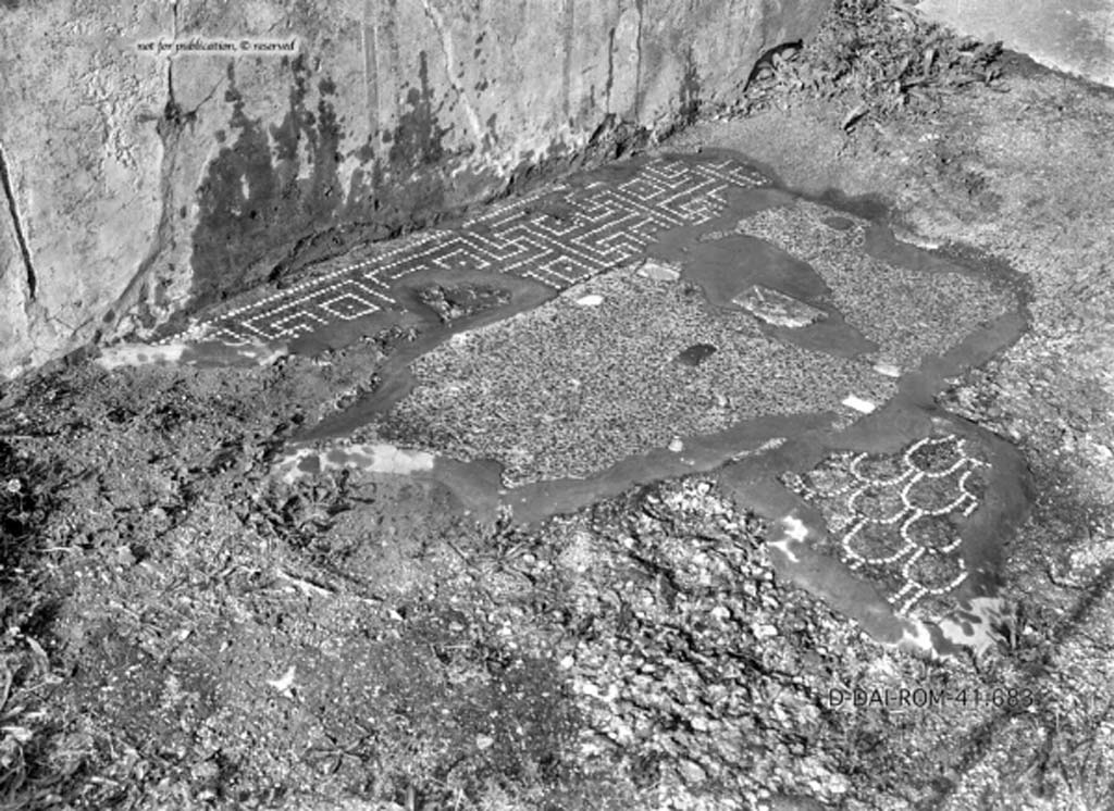 VIII.2.28 Pompeii. c.1930. Entrance vestibule/corridor.
DAIR 41.683. Photo © Deutsches Archäologisches Institut, Abteilung Rom, Arkiv.
See Pernice, E.  1938. Pavimente und Figürliche Mosaiken: Die Hellenistische Kunst in Pompeji, Band VI. Berlin: de Gruyter, (tav. 30.6, above.)