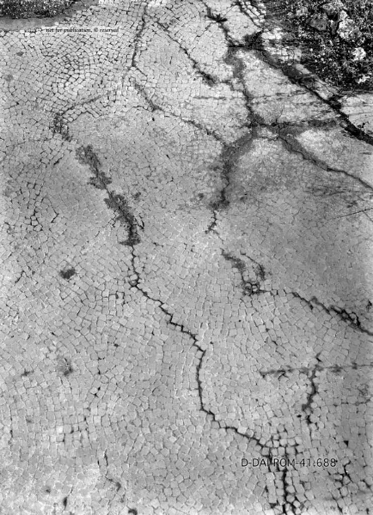 VIII.2.28 Pompeii. c.1930. Flooring in room on the left of the tablinum.
DAIR 41.688. Photo © Deutsches Archäologisches Institut, Abteilung Rom, Arkiv.
See Pernice, E.  1938. Pavimente und Figürliche Mosaiken: Die Hellenistische Kunst in Pompeji, Band VI. Berlin: de Gruyter, (tav. 31.5, above.)