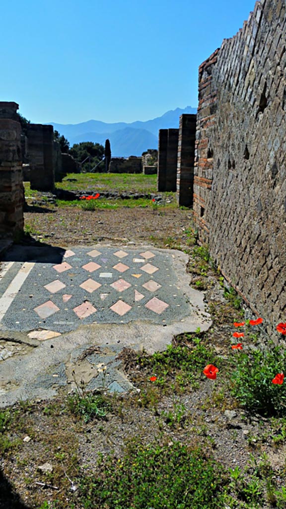 VIII.2.29 Pompeii. 2016/2017
Looking south along entrance corridor towards atrium. Photo courtesy of Giuseppe Ciaramella.