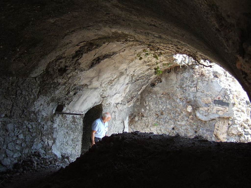 VIII.2.29 Pompeii. May 2006. Looking east on lower level into a large vaulted room, from the corridor.
(PPM’s room 5 on lower level).