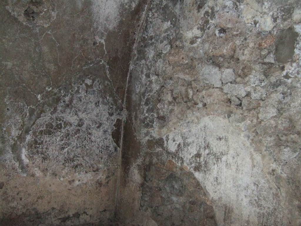VIII.2.29 Pompeii. September 2005. Looking north-east through the opening in north wall.
(PPM’s room 4’, north-east corner).