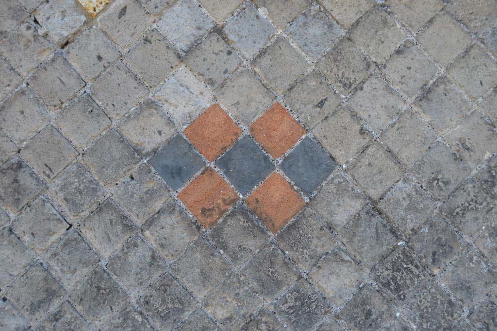 VIII.2.30 Pompeii. March 2018. Detail of front wall on west side of entrance doorway.
Foto Taylor Lauritsen, ERC Grant 681269 DÉCOR.