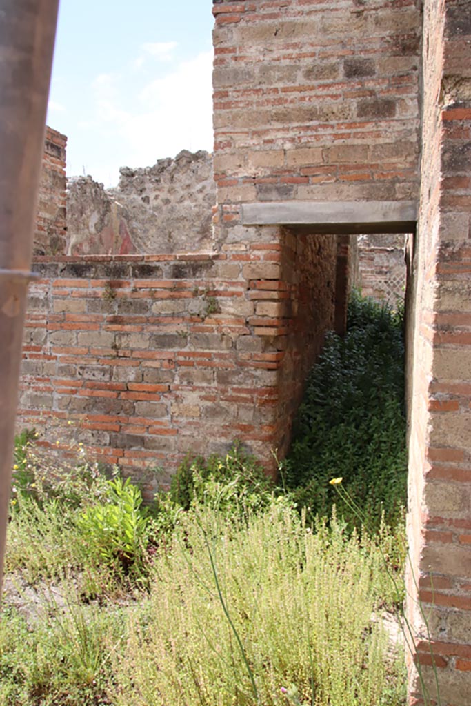 VIII.2.30 Pompeii. May 2024. 
Looking west towards doorway to the corridor in the west wall of the atrium leading into VIII.2.29. 
Photo courtesy of Klaus Heese.