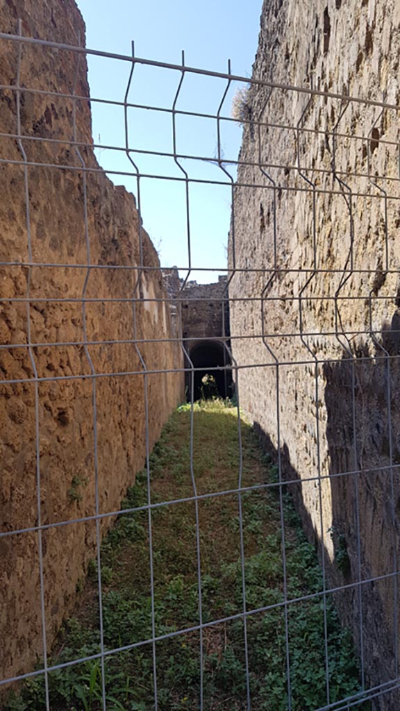 VIII.2.32 Pompeii. August 2023. 
Looking south from entrance. Photo courtesy of Maribel Velasco.