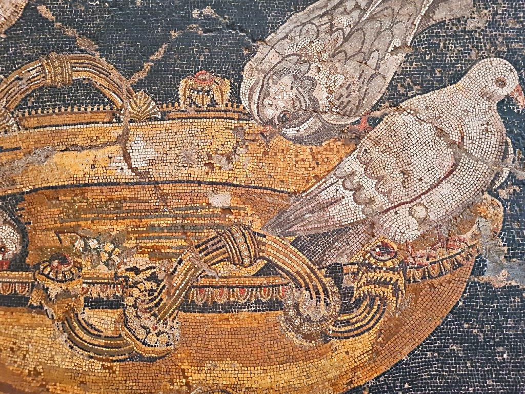 VIII.2.34 Pompeii. Detail of two Doves on water basin, from floor emblema, found in March 1885 in room ‘n’. 
Now in Naples Archaeological Museum.  Inventory number 114281. Photo courtesy of Giuseppe Ciaramella. September 2024.