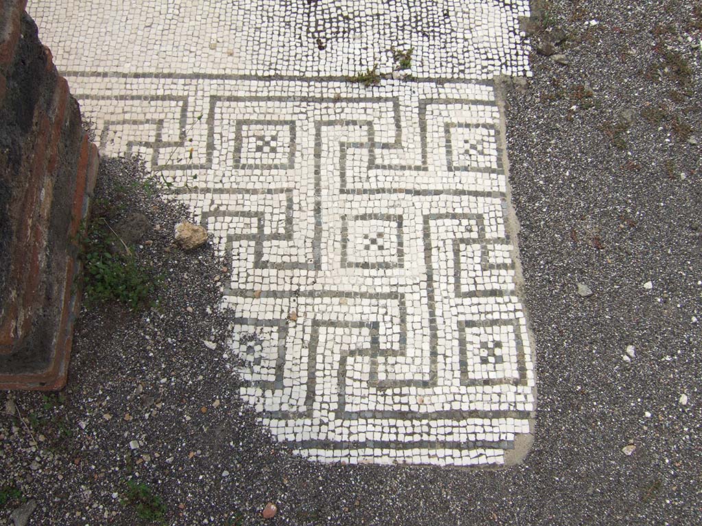 VIII.2.34 Pompeii. May 2006. Room “m”, mosaic in doorway threshold leading into tablinum from atrium.
The mosaic threshold towards the atrium ‘c’ was made up of a large design of meandering swastikas showing squares enclosing a black central cross.