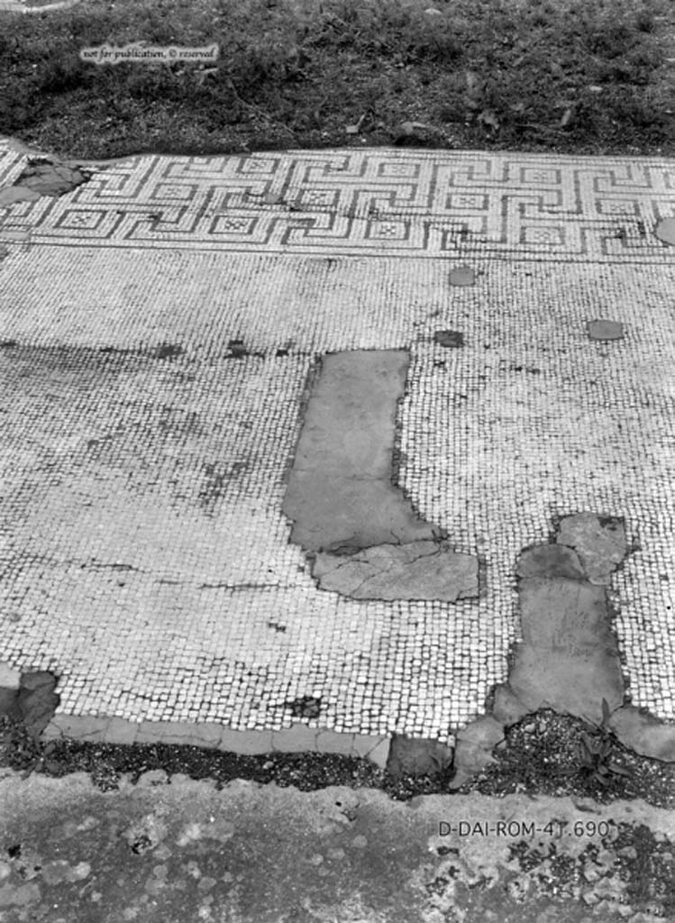 VIII.2.34 Pompeii. c.1930. Room “m”, flooring in tablinum.
DAIR 41.690. Photo © Deutsches Archäologisches Institut, Abteilung Rom, Arkiv.
See Pernice, E.  1938. Pavimente und Figürliche Mosaiken: Die Hellenistische Kunst in Pompeji, Band VI. Berlin: de Gruyter, (tav. 32.1, above.)