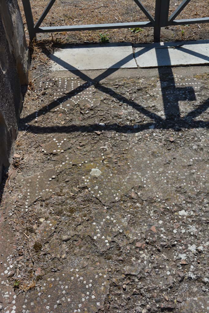 VIII.2.34 Pompeii. September 2019. Detail of flooring in entrance corridor at east side of south end. 
Foto Annette Haug, ERC Grant 681269 DÉCOR.