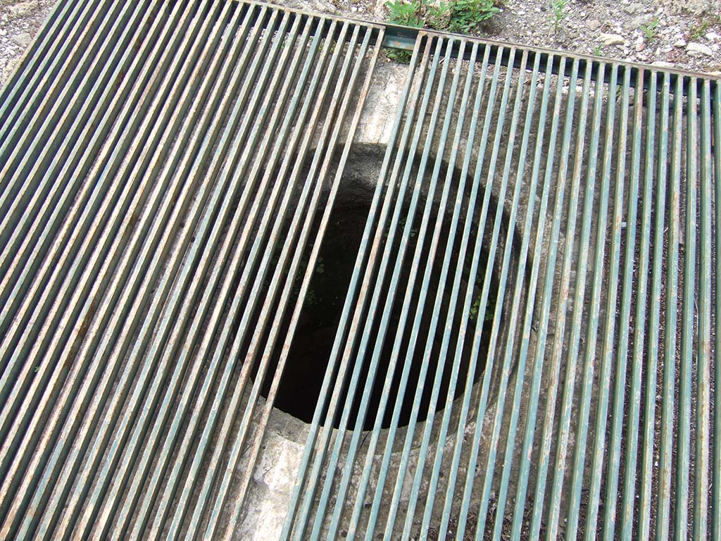 VIII.2.34 Pompeii. May 2006. Cistern mouth on north side, near impluvium in atrium, ‘c’.