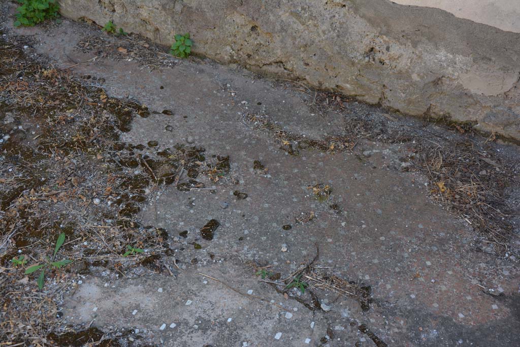 VIII.2.34 Pompeii. September 2019. Cubiculum ‘e’, detail of flooring near south wall. 
Foto Annette Haug, ERC Grant 681269 DÉCOR.