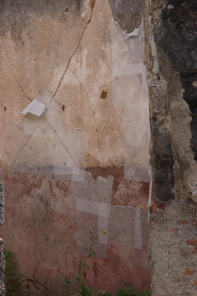 VIII.2.34 Pompeii. May 2024.  
Detail from south wall of cubiculum ‘f’. Photo courtesy of Klaus Heese.