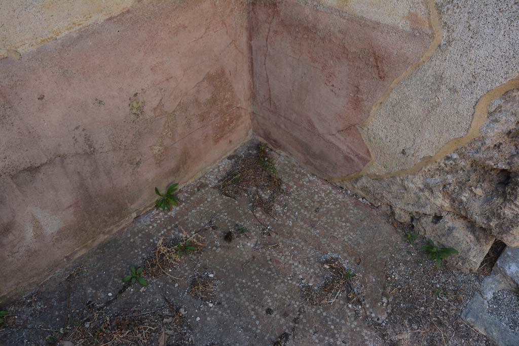VIII.2.34 Pompeii. September 2019. 
Cubiculum ‘g’, south-east corner, with red zoccolo, and flooring with two lines of small white tiles around the edge.
Foto Annette Haug, ERC Grant 681269 DÉCOR.