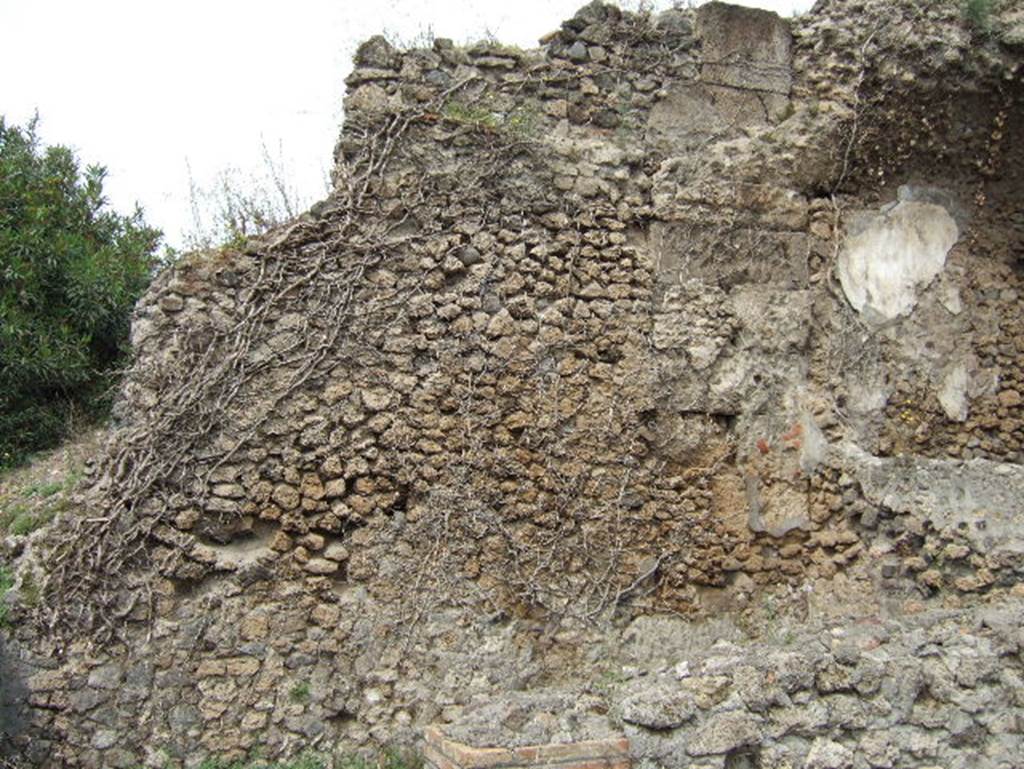 VIII.2.34 Pompeii. May 2006. Room ‘11’, west wall of room on lower level. Originally this room would have had an elegant flooring of mosaic with a net of lozenges delineated in black on a white background. There was a narrow strip with a double row of black corolla with four petals and buds combined in a manner to form circles, typically III style.
See Blake, M., (1930). The pavements of the Roman Buildings of the Republic and Early Empire. Rome, MAAR, 8, (p.108, & Pl.46, tav.7).
