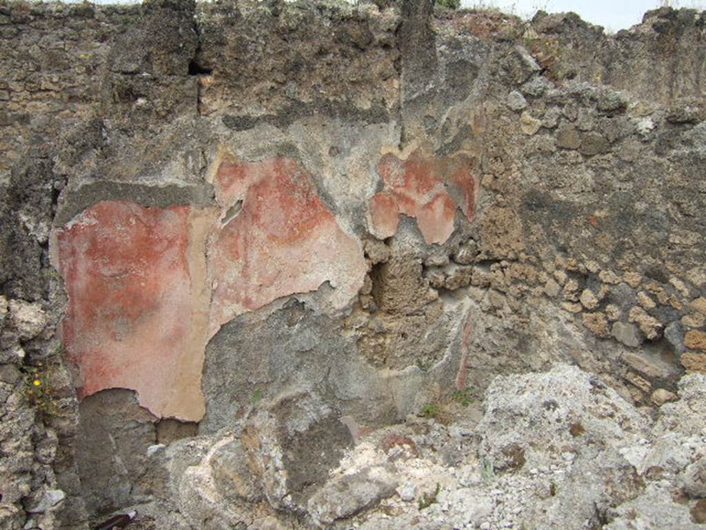 VIII.2.36 Pompeii. May 2006. Painted plaster on west wall of room at east end of terrace at the rear of upper level.