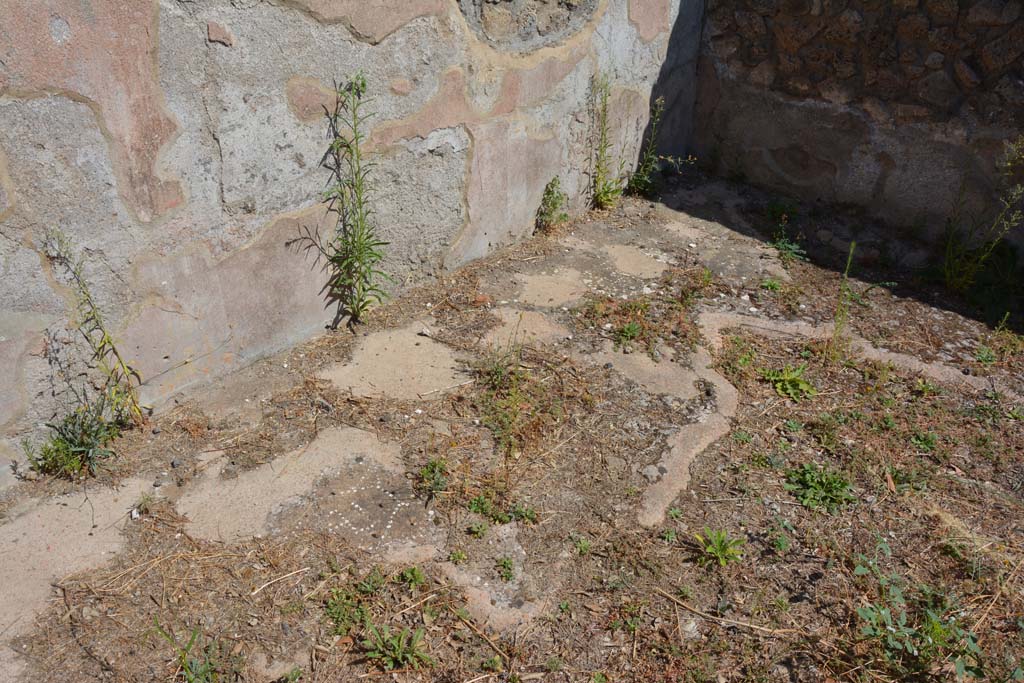 VIII.2.39 Pompeii. September 2019. Room f, detail of flooring near north wall.
Foto Annette Haug, ERC Grant 681269 DÉCOR
According to PPM –
“The flooring was in cocciopesto with a net of hexagons juxtaposed with a swastika in the centre; the marginal border consisted of scattered tesserae.”
 See Carratelli, G. P., 1990-2003. Pompei: Pitture e Mosaici. Roma: Istituto della enciclopedia italiana, (no.11, p.316).