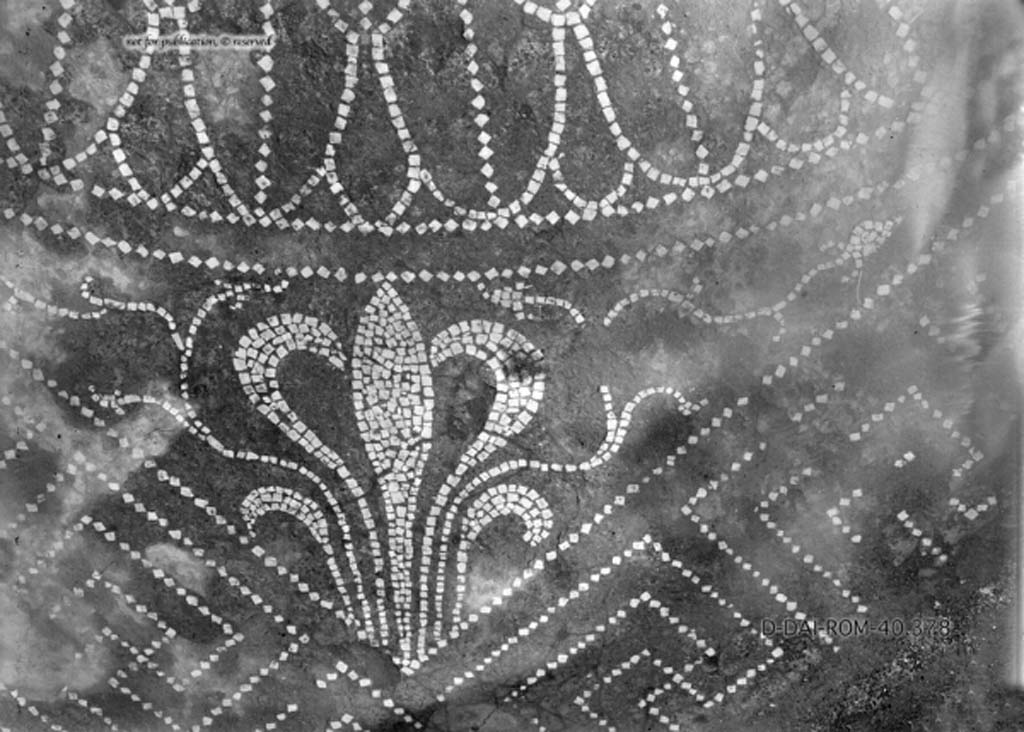 VIII.2.39 Pompeii. c.1930. Room “h”, the west ala, detail of flooring of “graceful floral motif”. 
DAIR 40.378. Photo © Deutsches Archäologisches Institut, Abteilung Rom, Arkiv.
See Pernice, E.  1938. Pavimente und Figürliche Mosaiken: Die Hellenistische Kunst in Pompeji, Band VI. Berlin: de Gruyter, (tav. 12.5, above.)